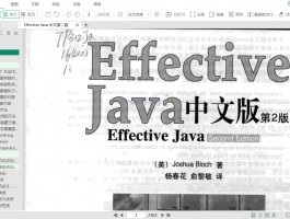 《Effective Java 中文第二版.pdf》资料下载