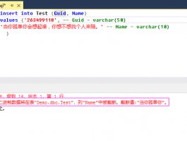 SQL Server：将截断字符串或二进制数据，哪个字段?