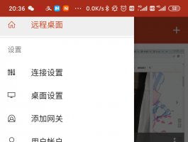 微软远程桌面工具(remote desktop)V9.9 安卓汉化版下载